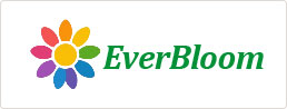 Logo-2